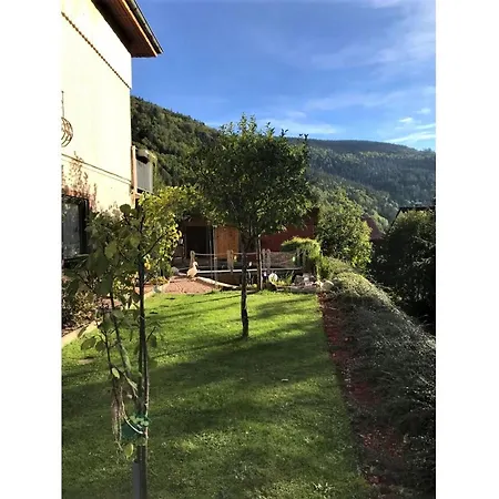 Chalet Kaiser * Brandenberg